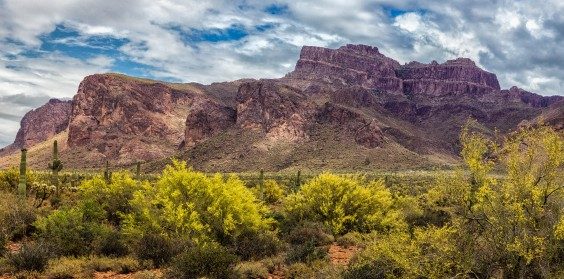 goldfield mountains arizona