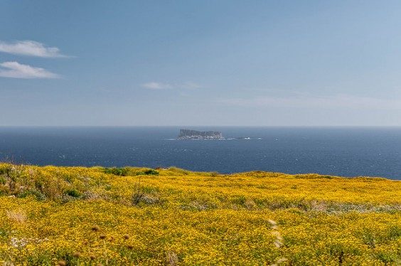 Den blå grotte i Zurrieq