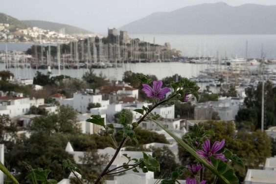 Bodrum i Muğla