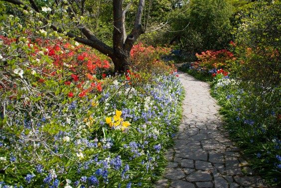 Christchurch Botanic Gardens