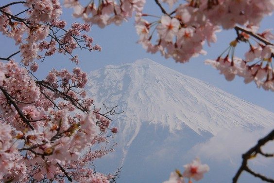 fuji-fjellet