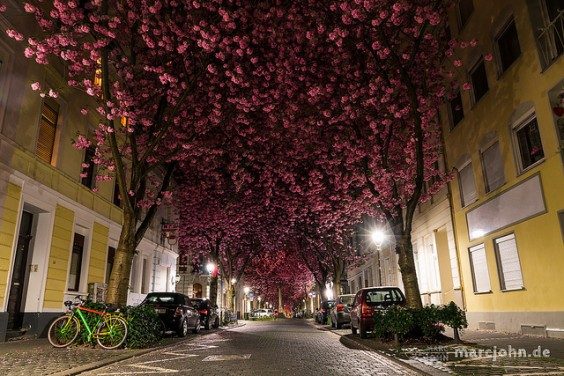 Bonn i Nordrhein-Westfalen